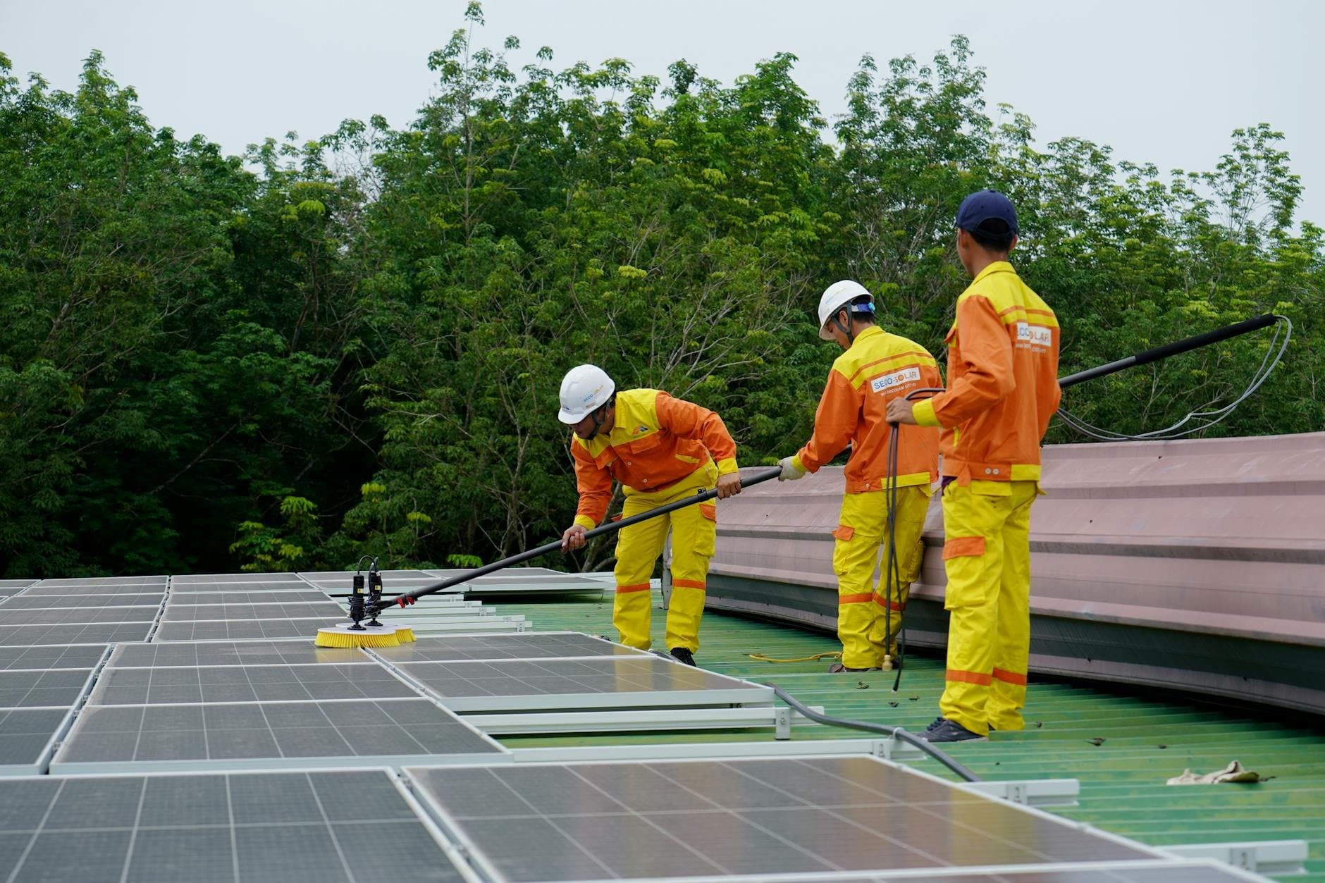 The Real Benefits of Choosing Green Cleaning Services