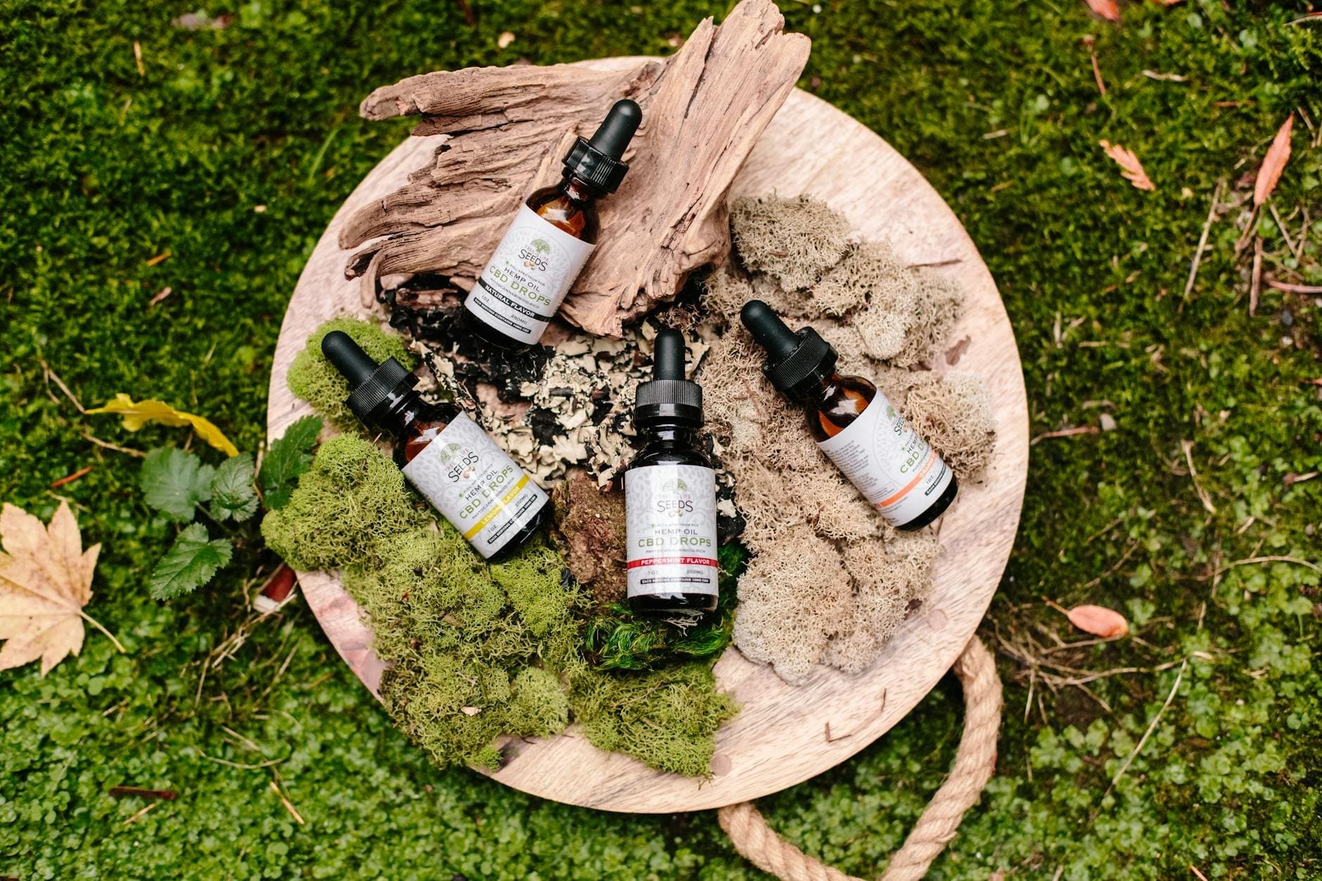 Simple & Effective DIY Natural Cleaning Solutions